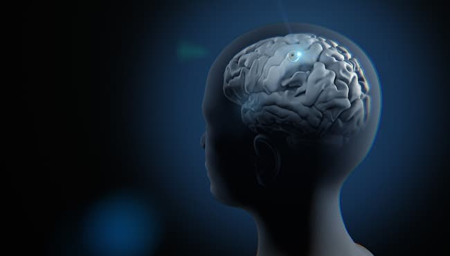 네오폰스, 케이메디허브 등과 치매극복 글로벌 연구 개시